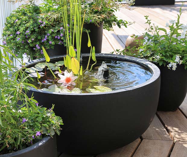DIY-Idee: Miniteich anlegen