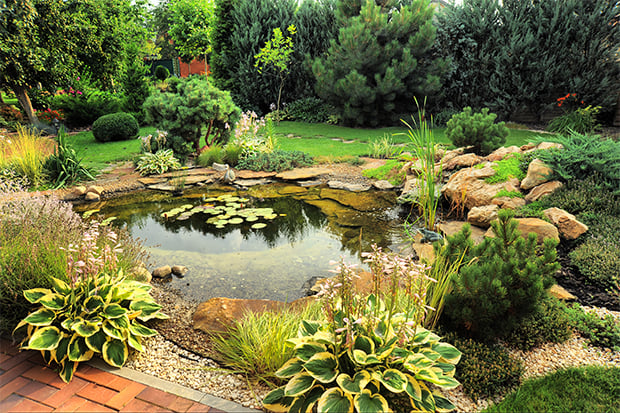 Gartenteich bauen