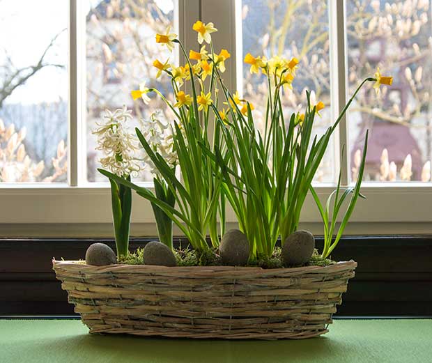 Osterdeko aus Naturmaterialien - Globus ☀ Supermarkt ⇒ Vielfalt, Qualität &  Beratung