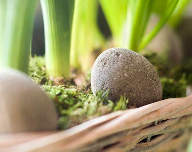 Osterdeko aus Naturmaterialien - Globus ☀ Supermarkt ⇒ Vielfalt, Qualität &  Beratung