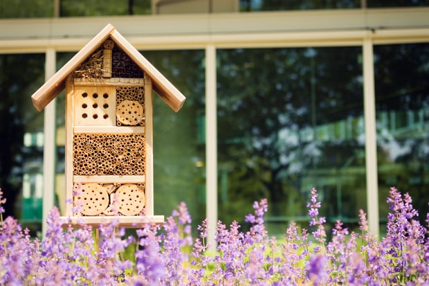 Bienenschutz-Insektenhotel