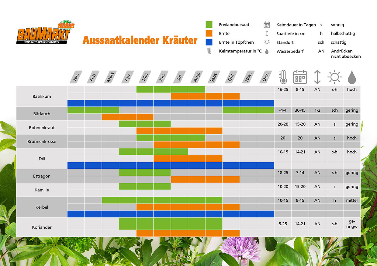Kräutergarten anlegen und pflegen So pflanzt du Kräuter richtig