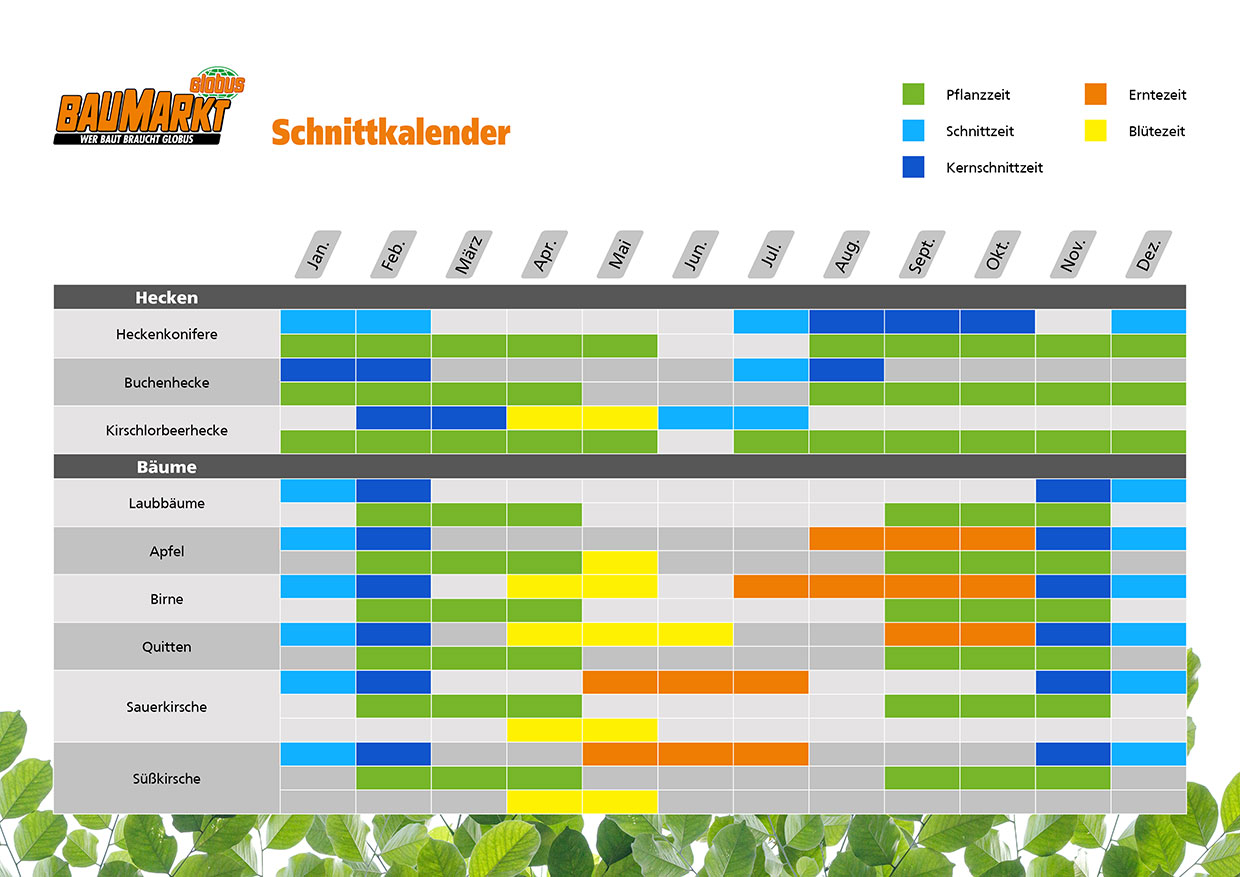 Baumkalender