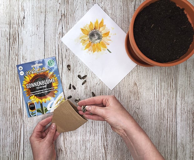Muttertagsgeschenk Blumensamen einfüllen