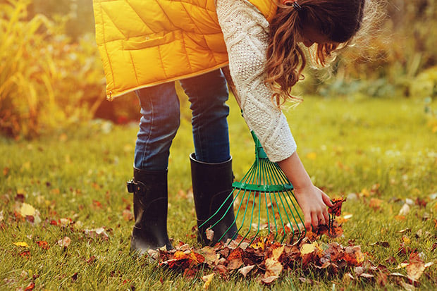 Garten im Herbst