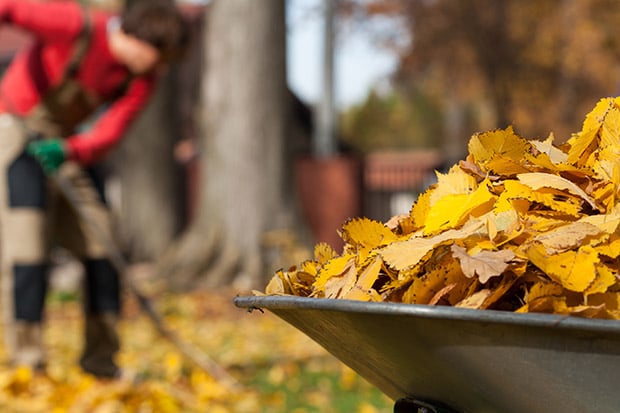 Garten im Herbst Gartenpflege