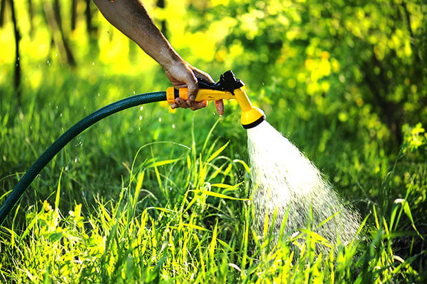 Garten im Sommer bewässern