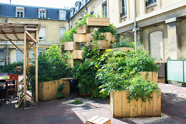 Urban Gardening Hochbeete