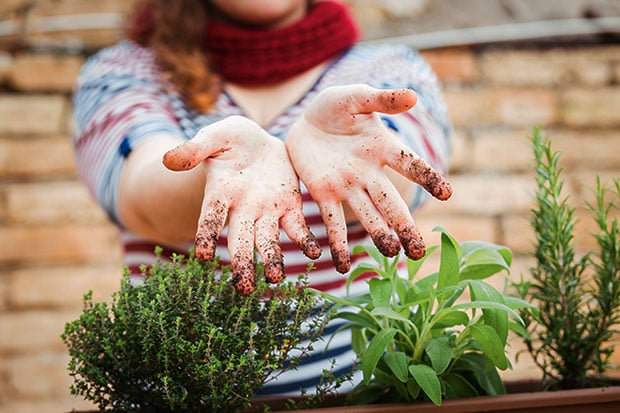 Urban Gardening Pflege