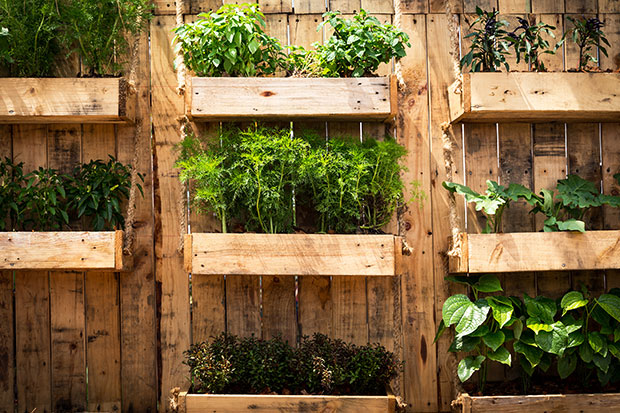 Urban Gardening vertikale Gärten
