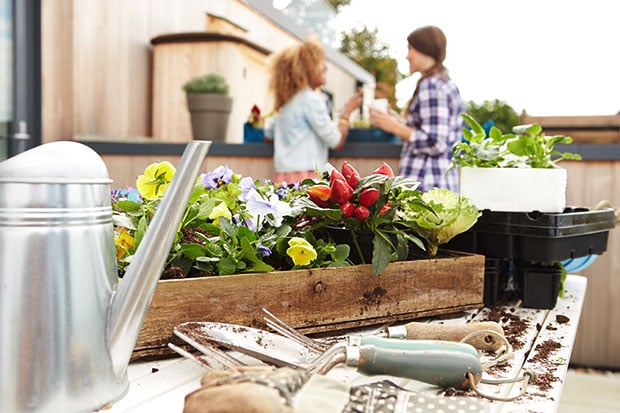 Urban Gardening Werkzeug