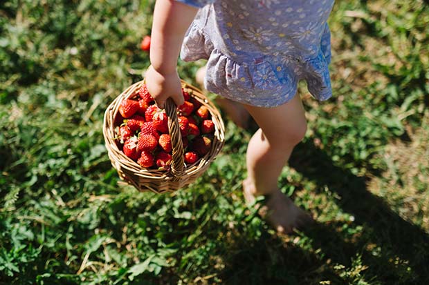 Gärtnern mit Kindern Beeren pflanzen