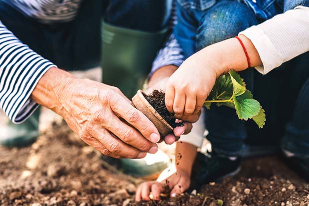 Gärtnern mit Kindern Hinweise