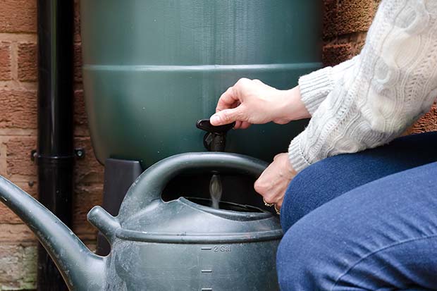 Energiespartipps Wasser im Garten sparen