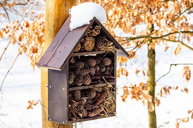 Tiere im Winter Lebensraum Insektenhotel