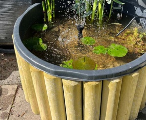 DIY Miniteich für den Balkon