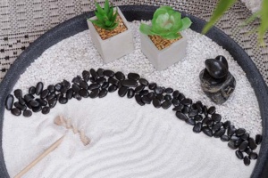 Mini Zen Garten selber machen