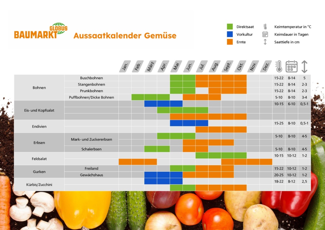 Gemüsegarten anlegen und pflegen GLOBUS BAUMARKT