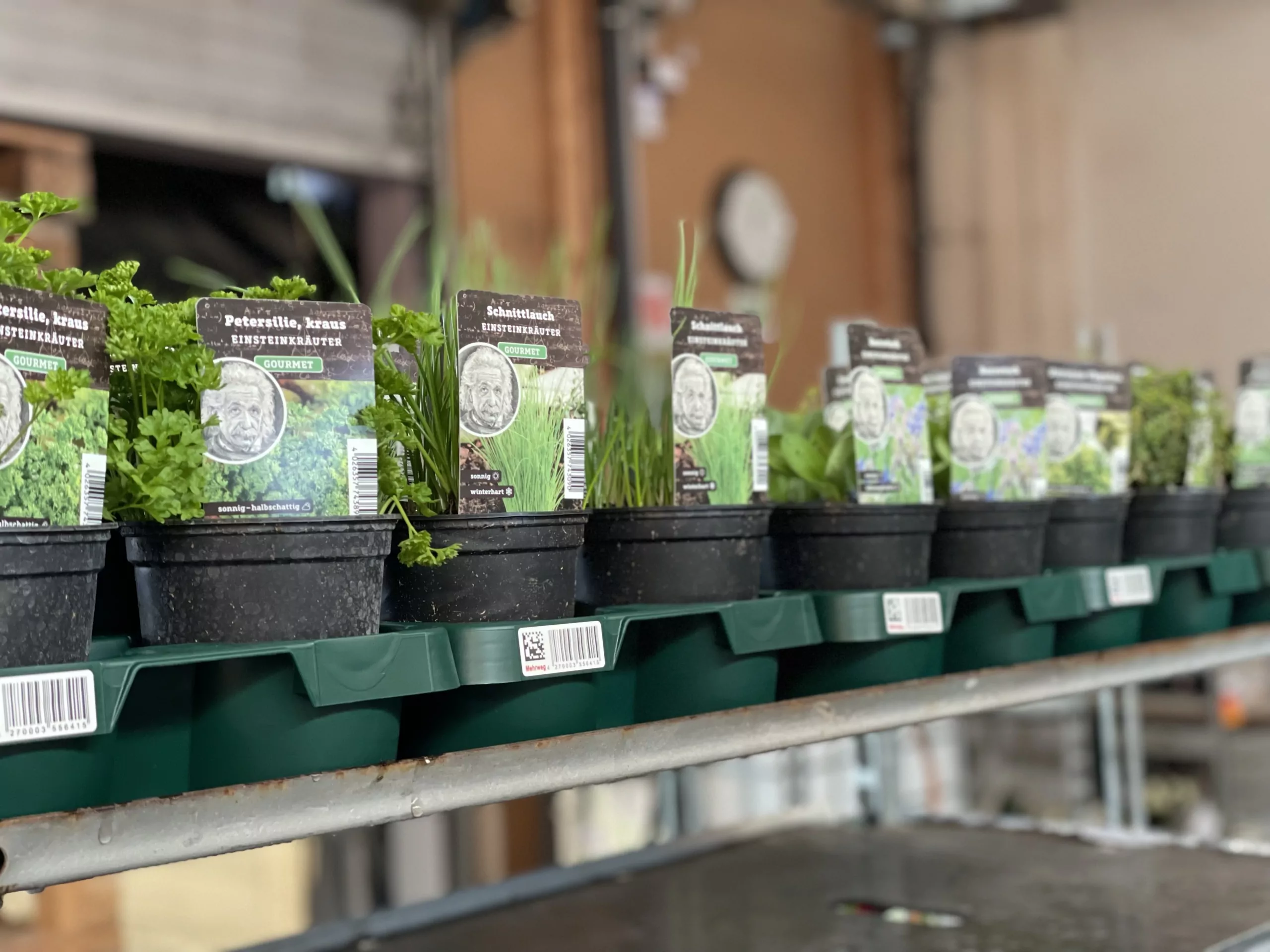 Euro Plant Trays bei Globus Baumarkt | GLOBUS BAUMARKT