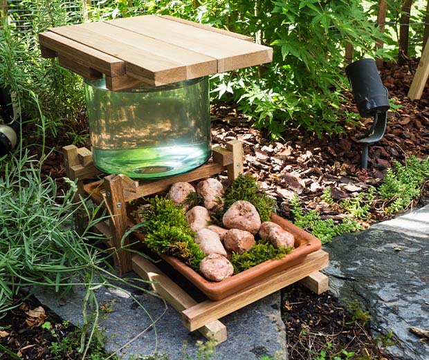 Bienentränke für den Garten bauen.
