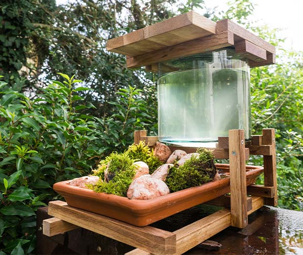 Bienentränke für den Garten bauen.