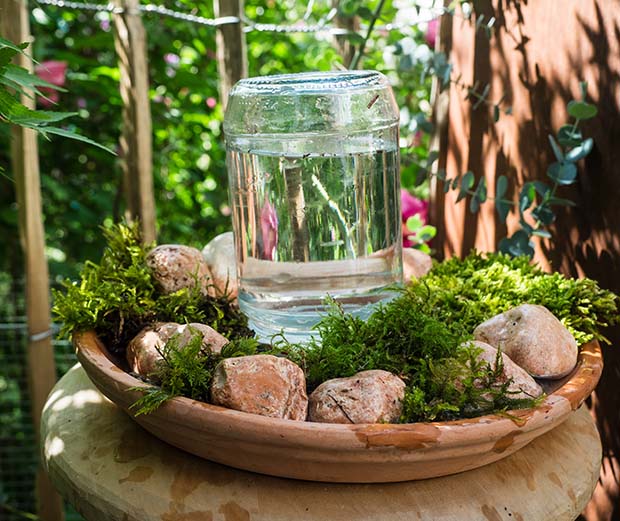 Bienentränke für den Garten bauen.