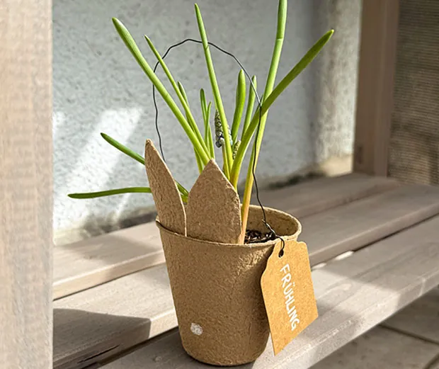 DIY-Idee: Frühlingsdeko selbermachen. Ambientebild 3.