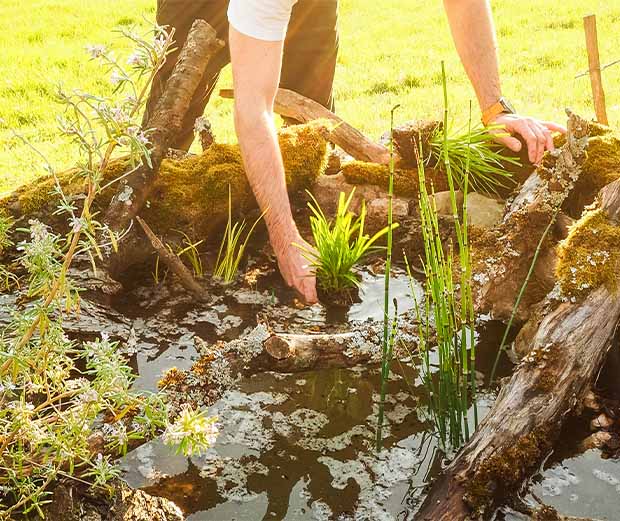 DIY Anleitung: Naturteich anlegen.