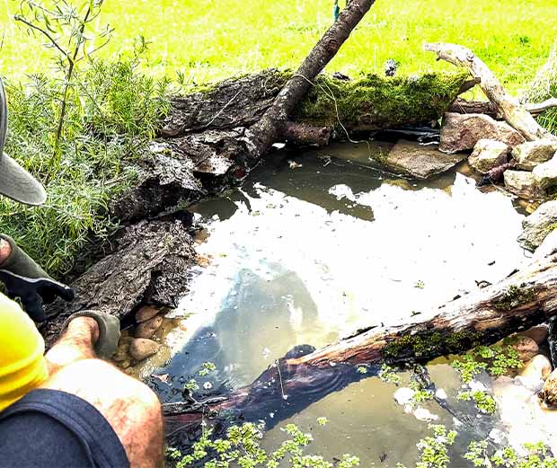 DIY Anleitung: Naturteich anlegen. Anleitungsschritt 3.