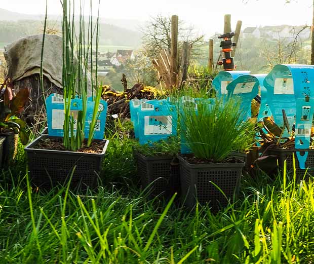 DIY Anleitung: Naturteich anlegen. Anleitungsschritt 4.