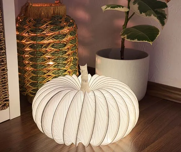 DIY-Idee Leuchtkürbisse basteln.