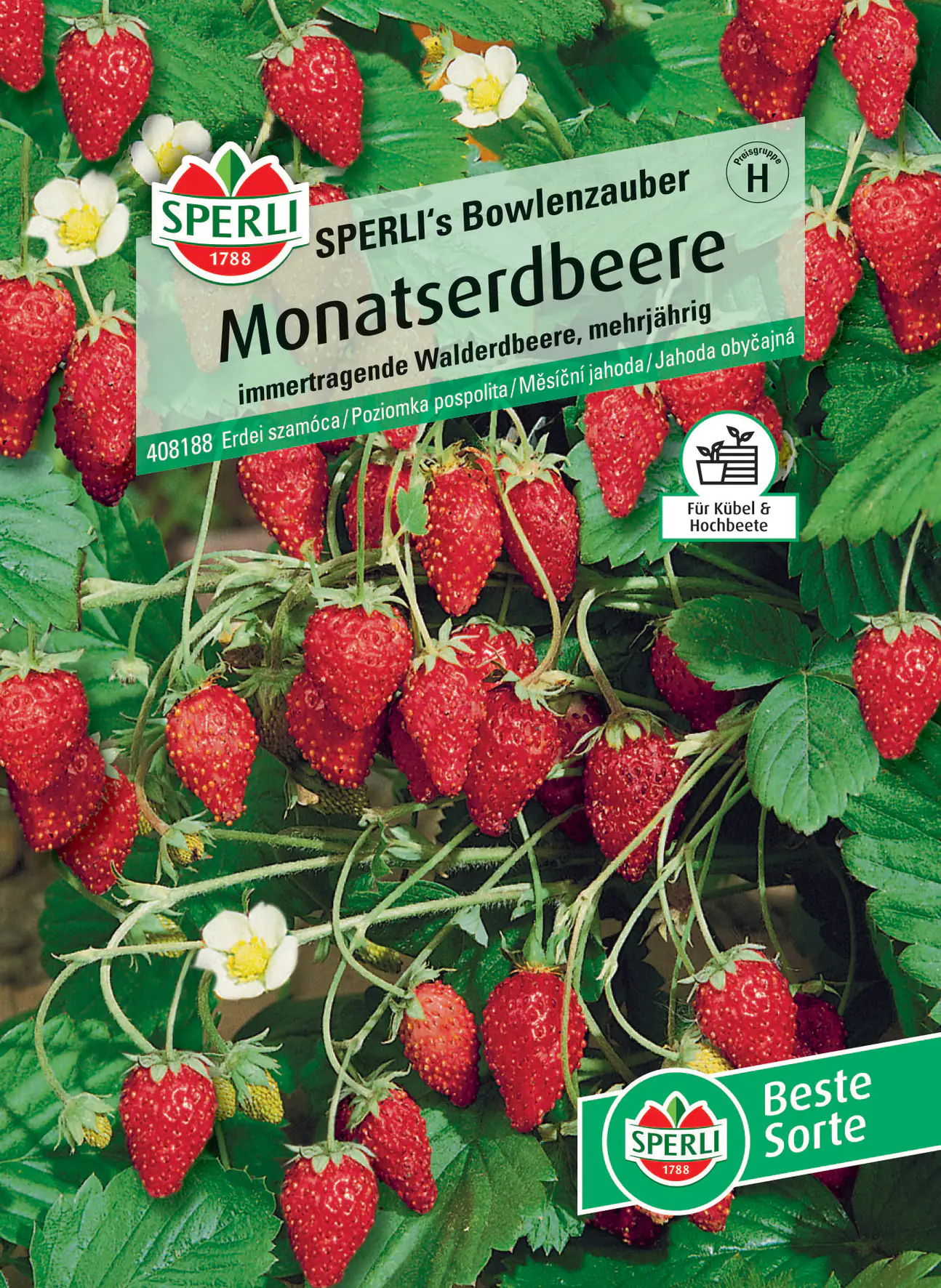 Sperli Monatserdbeere Sperli 's Bowlenzauber Sperli Monatserdbeere Sperli 's Bowlenzauber