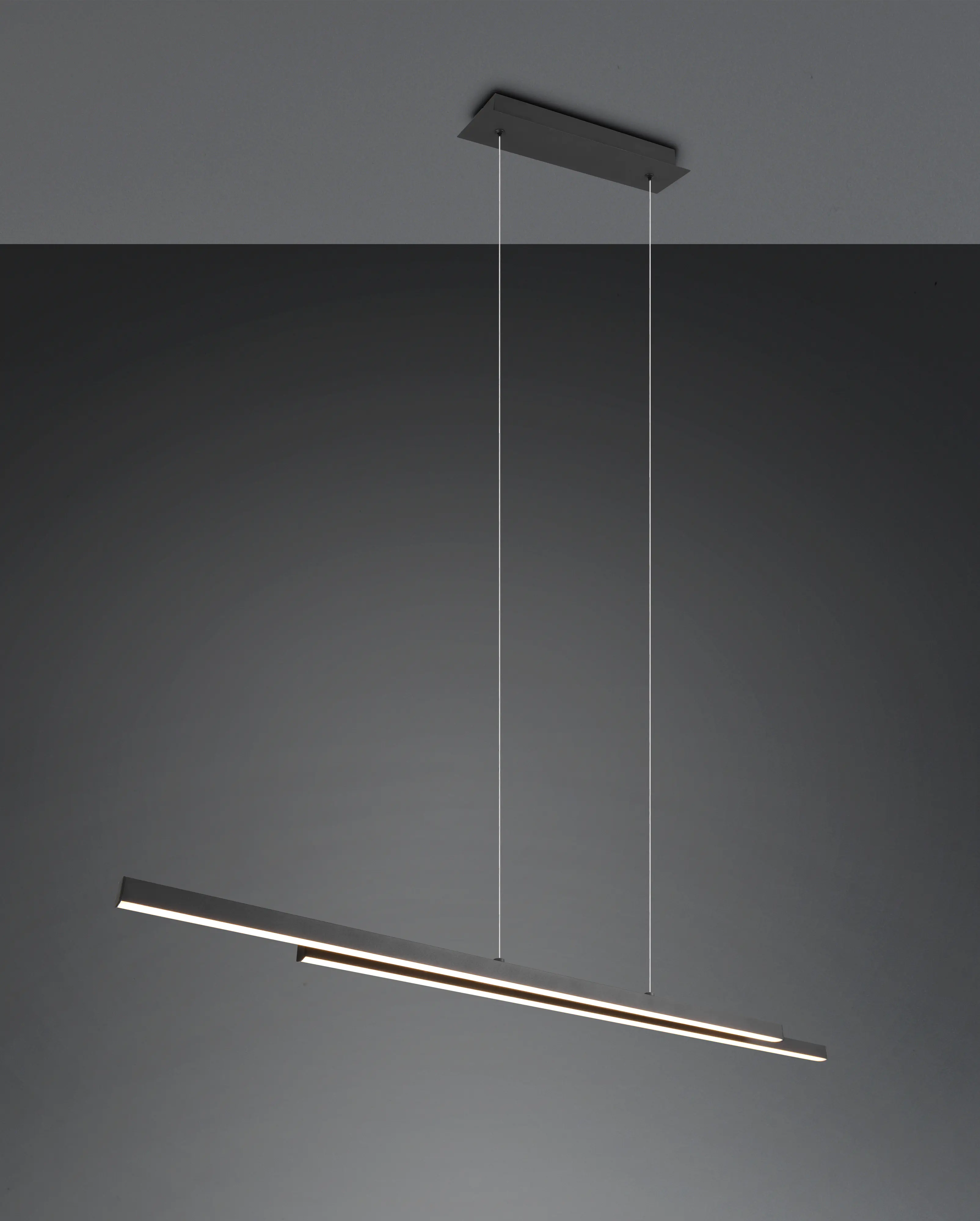 Trio Leuchten LED Pendellechte Odio 28W schwarz