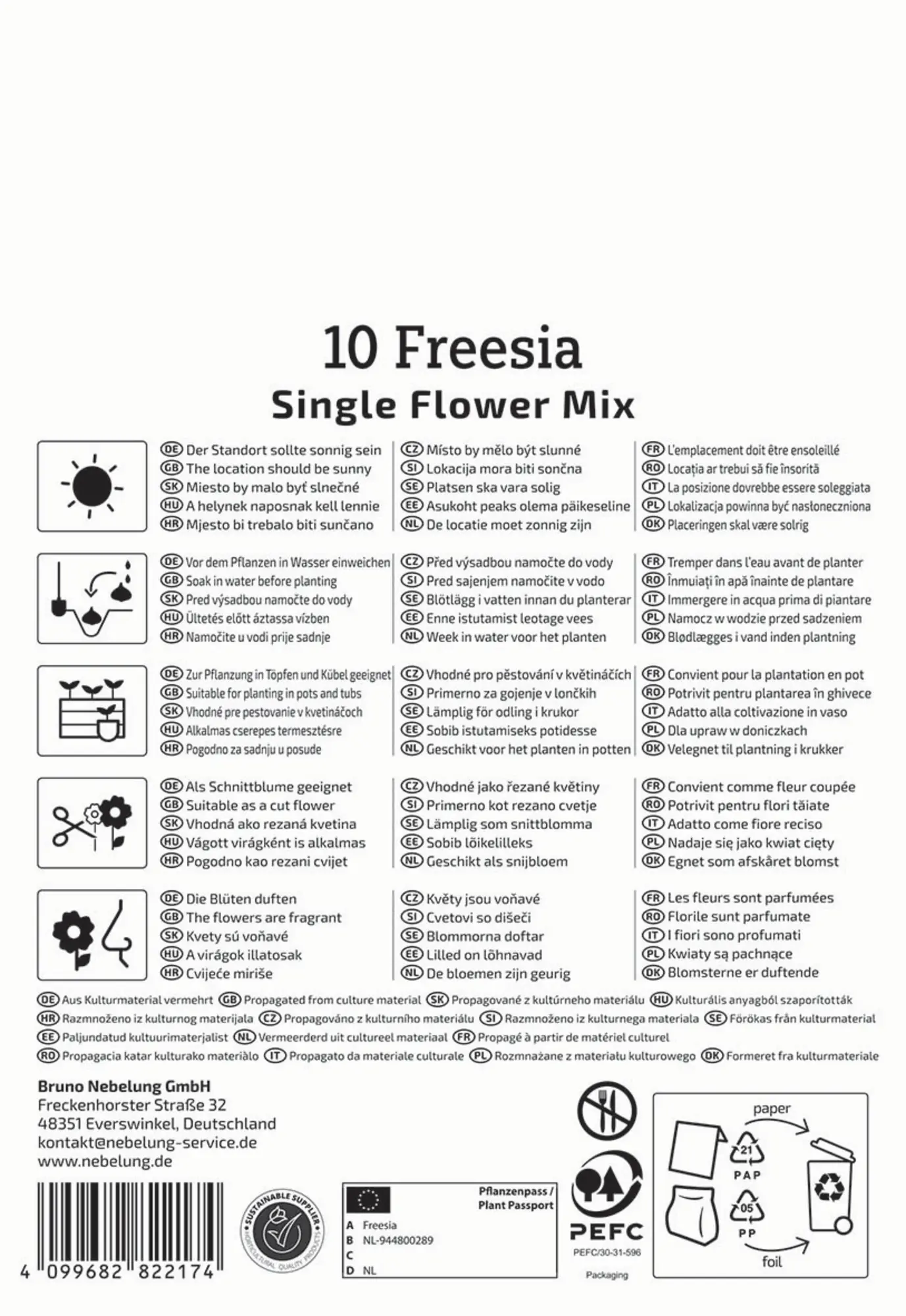 Kiepenkerl Frühjahrsblumenzwiebel Freesien Mischung ungefüllte Blüte 10 Stück