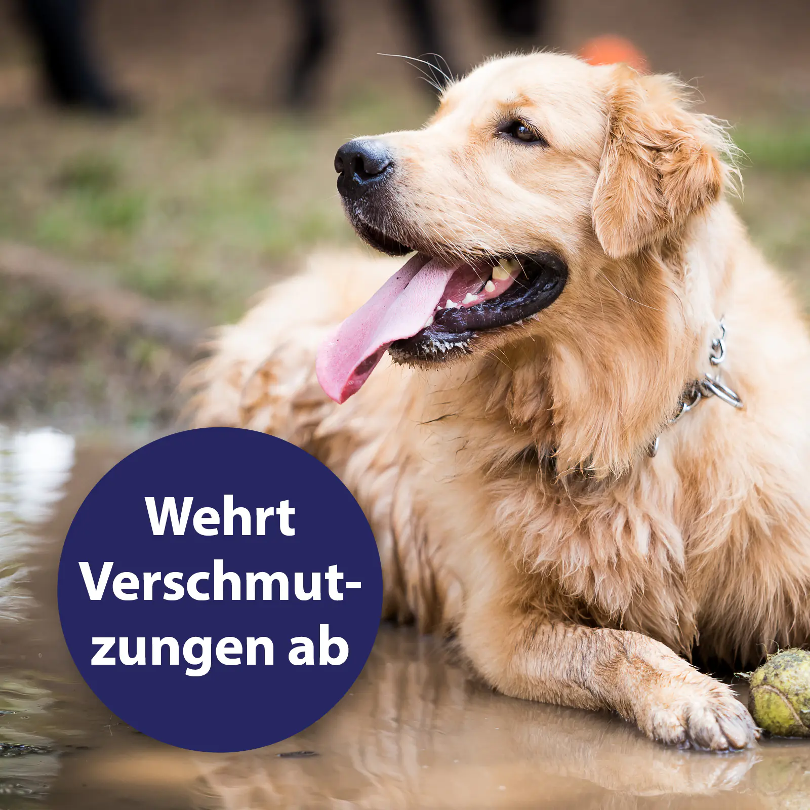 Canosept Fellspray für Hunde 250 ml