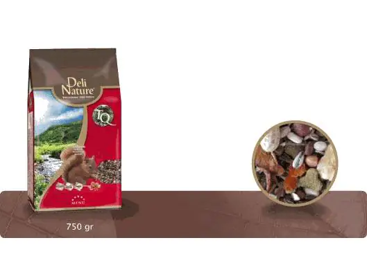 Deli Nature 5* Menu mit Früchte und Nüsse Eichhörnchenfutter 750 g