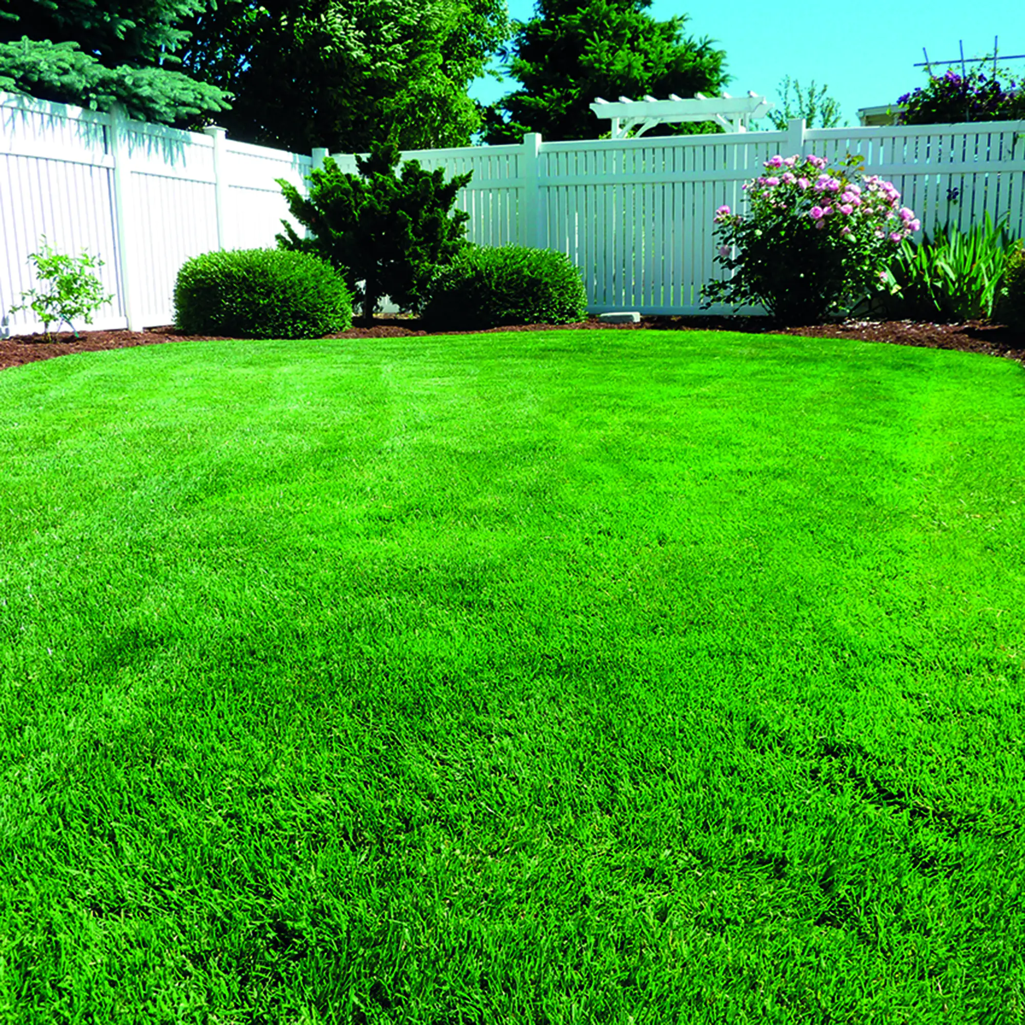 Westland Smart Green Neueinsaat für 40 m² 1 kg Westland Smart Green Neueinsaat für 40 m² 1 kg