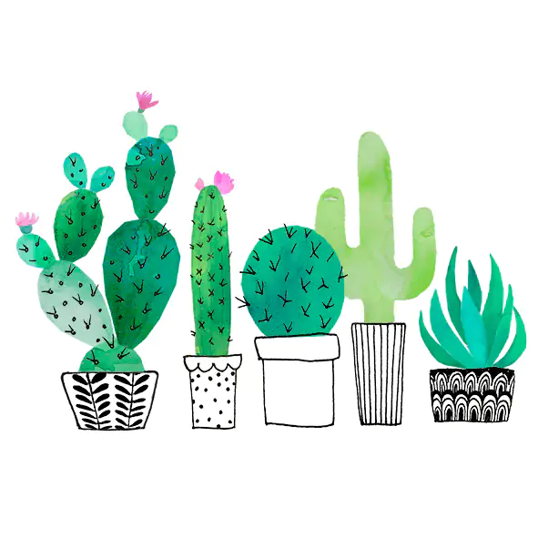 Braun & Company Servietten grün 33 x 33 cm - 20er Pack