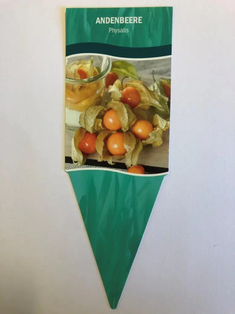 Physalis peruviana Andenbeere/Stachelbeere 12 cm Topf