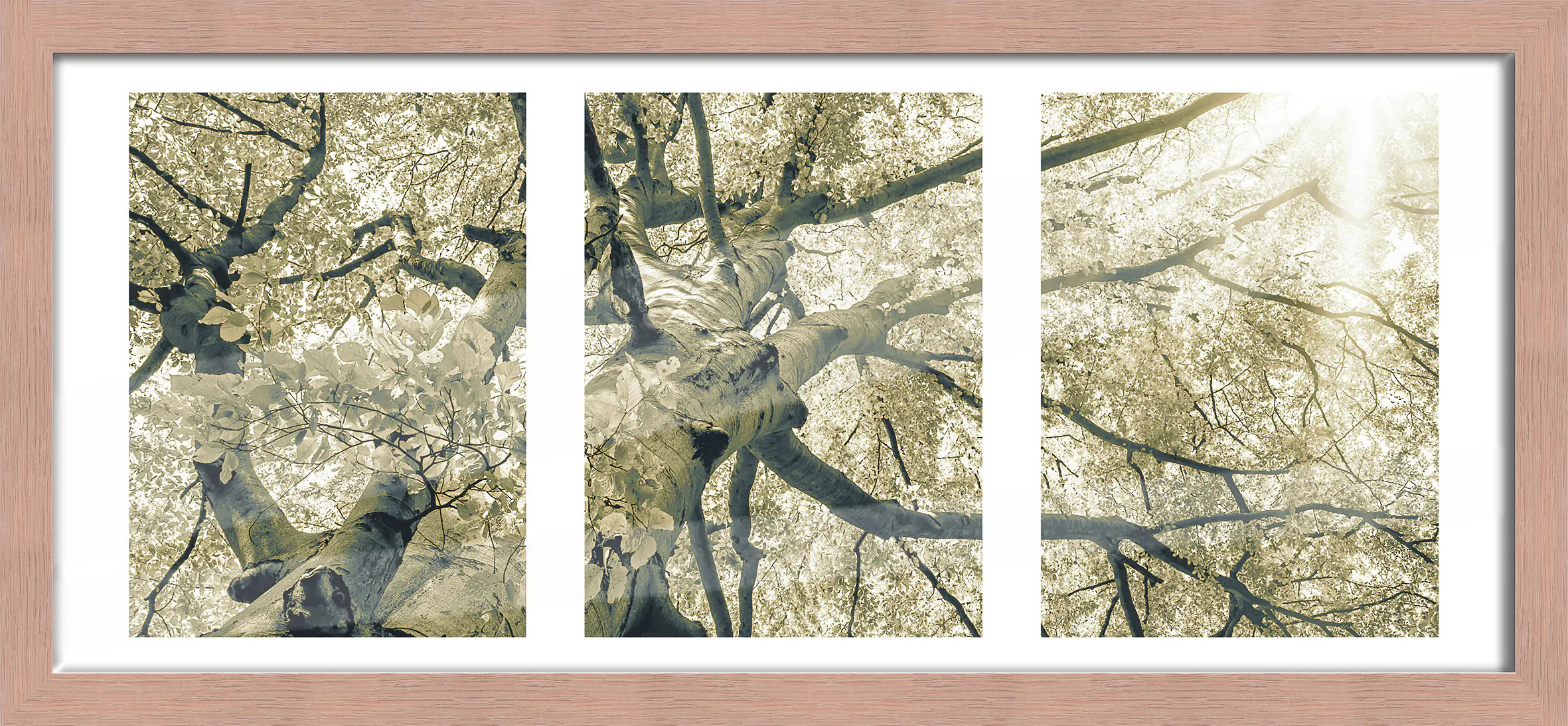 Bilderrahmen Holz Luzern duplo eiche 23 x 50 cm 