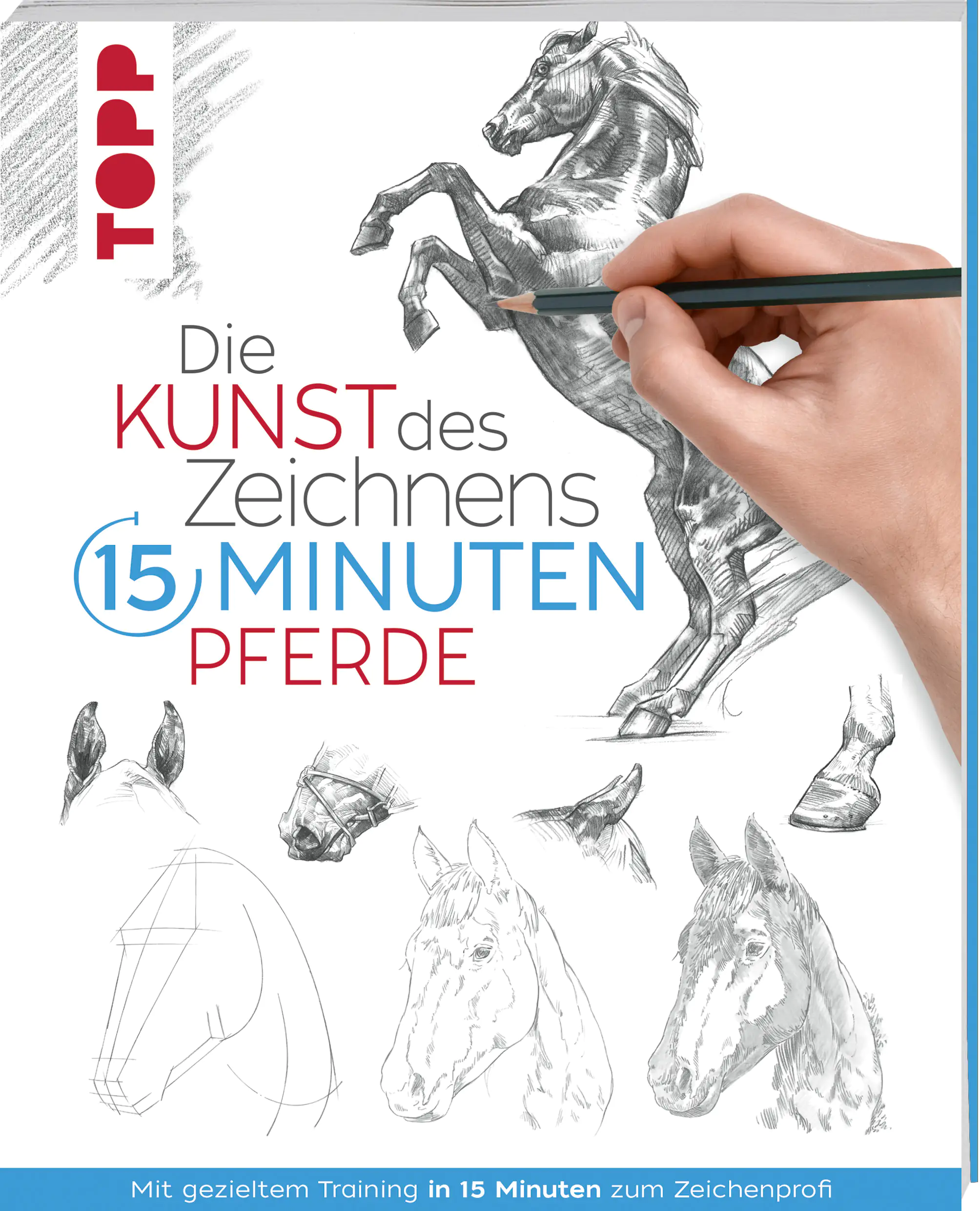 Die Kunst des Zeichnens 15 Minuten - Pferde