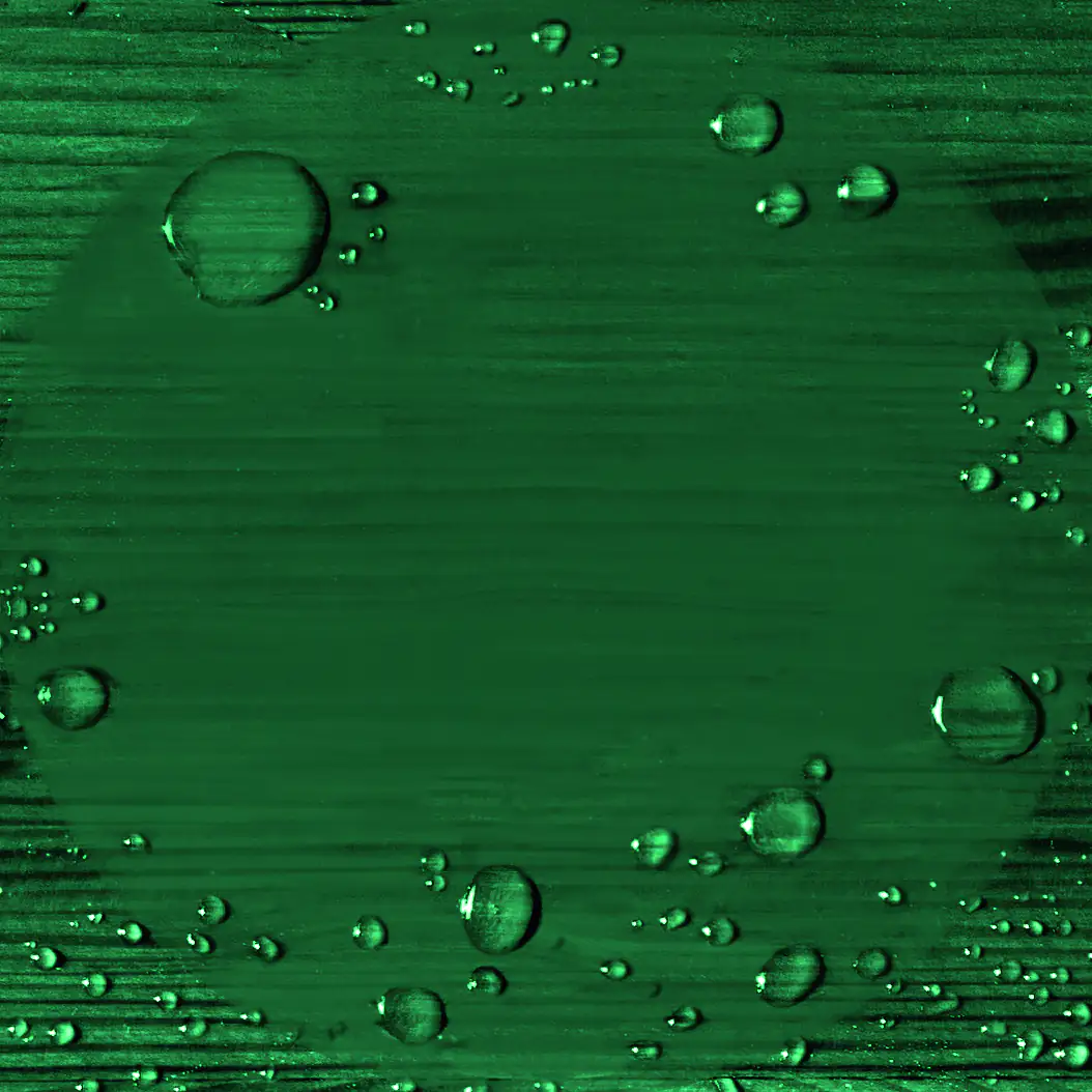 Alpina Wetterschutzfarbe 2,5 L moosgrün