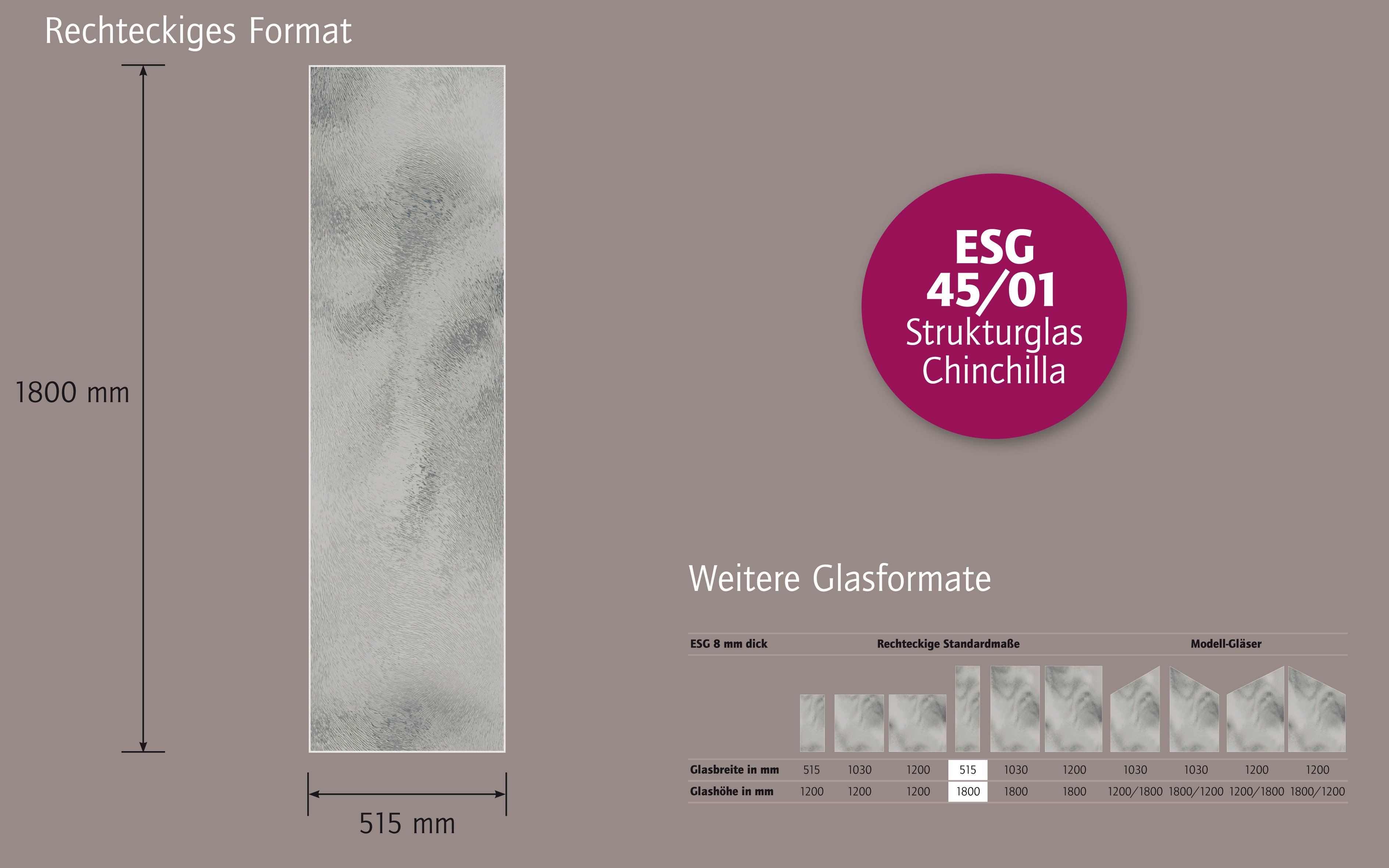 Ambiente Glaszaun B x H: 51,5 cm x 180 cm, gehärtetes 8 mm Glas Ambiente Glaszaun B x H: 51,5 cm x 180 cm, gehärtetes 8 mm Glas