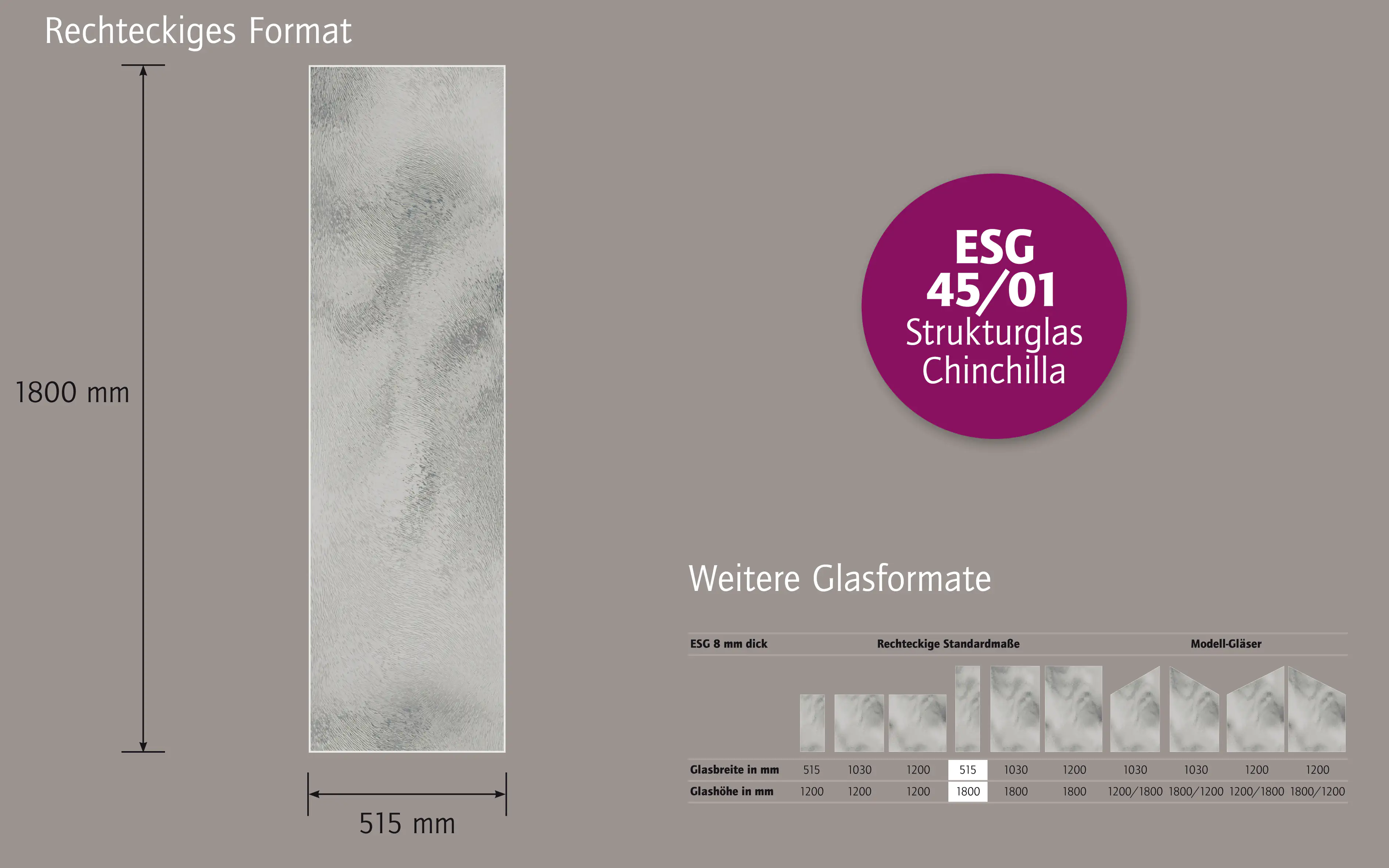 Ambiente Glaszaun B x H: 51,5 cm x 180 cm, gehärtetes 8 mm Glas Ambiente Glaszaun B x H: 51,5 cm x 180 cm, gehärtetes 8 mm Glas