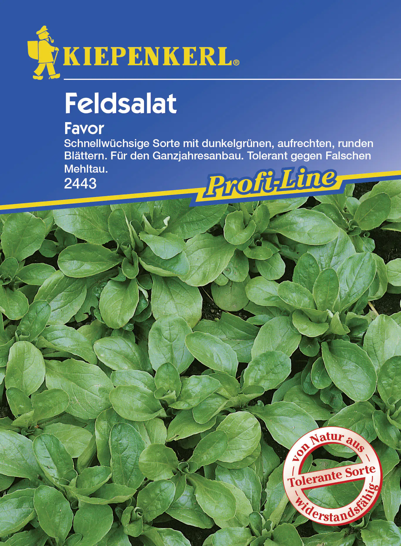 Kiepenkerl Feldsalat Favor Valerianella locusta, Inhalt: ca. 5 lfd. Meter Kiepenkerl Feldsalat Favor Valerianella locusta, Inhalt: ca. 5 lfd. Meter