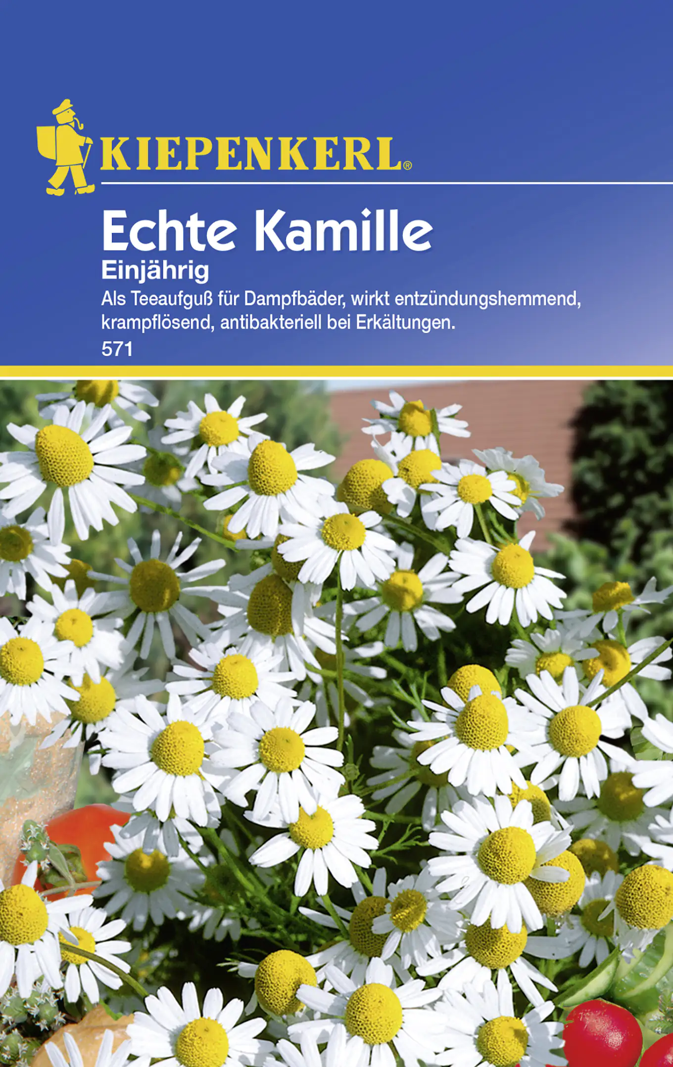 Kiepenkerl Kamille Echte Kamille einjährig Chamomilla recutita, Inhalt