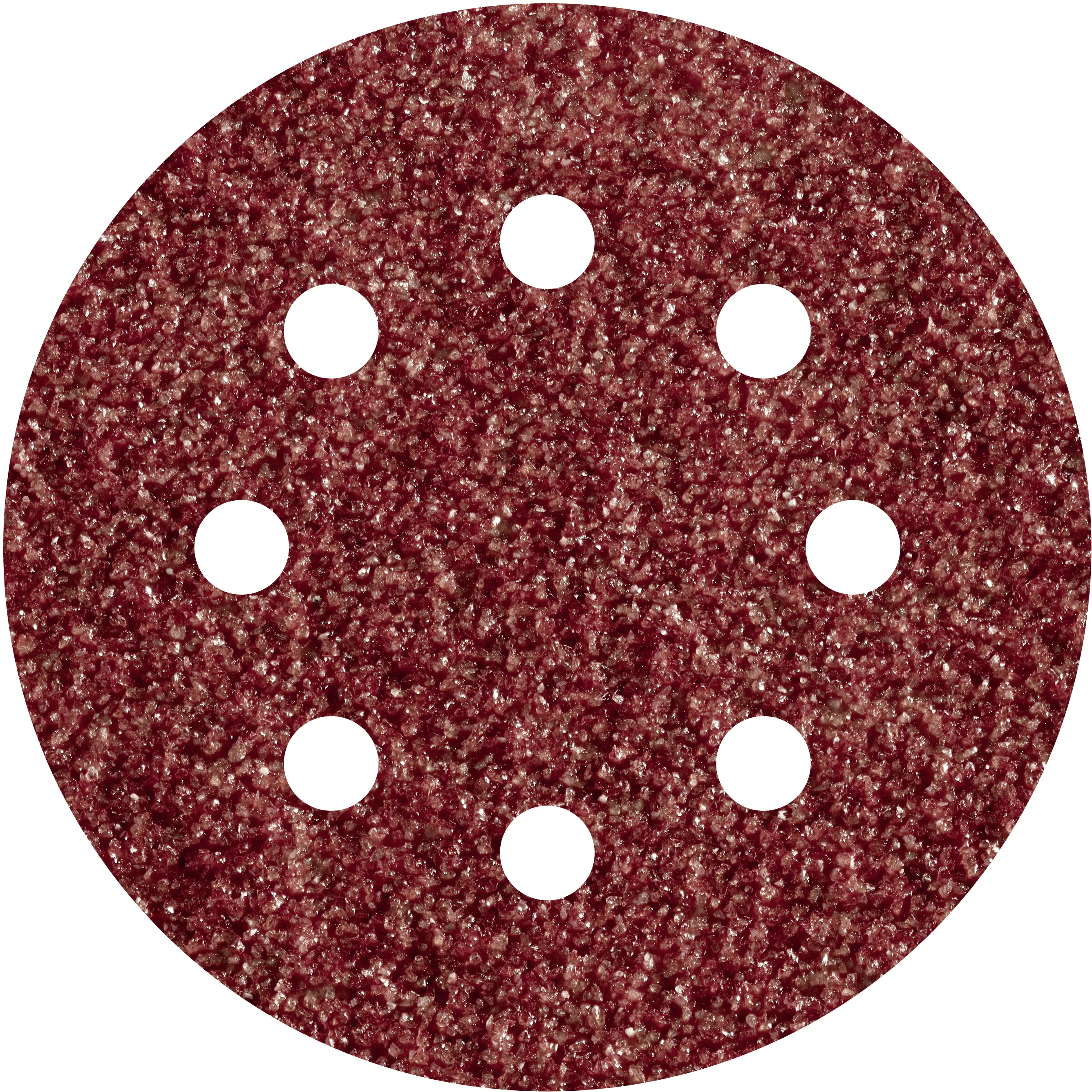 Wolfcraft Haftschleifscheiben K80 Ø 125 mm für Exzenterschleifer