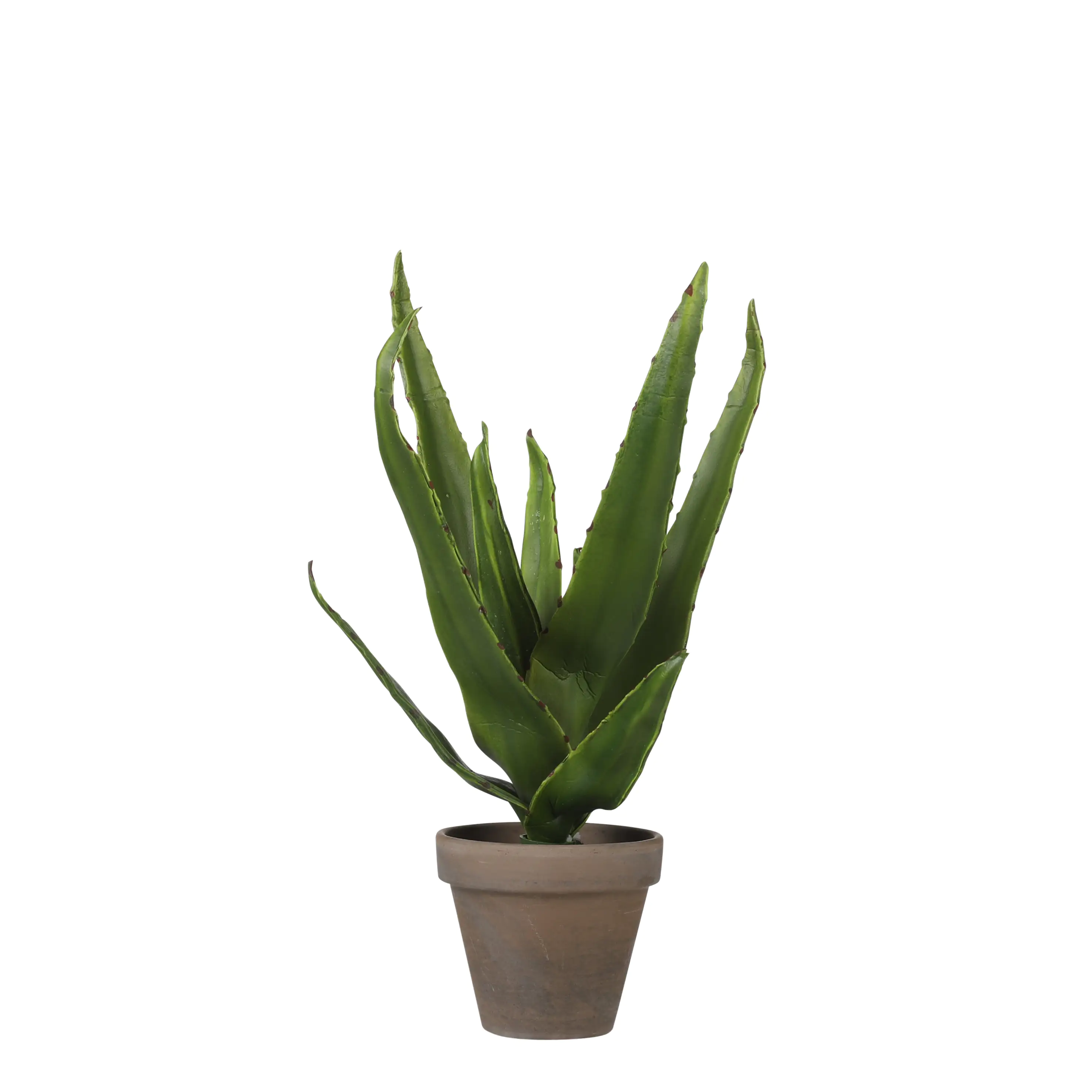8718861774092 Mica Kunstpflanze Aloe Vera im Topf grün, 30 x 16 cm