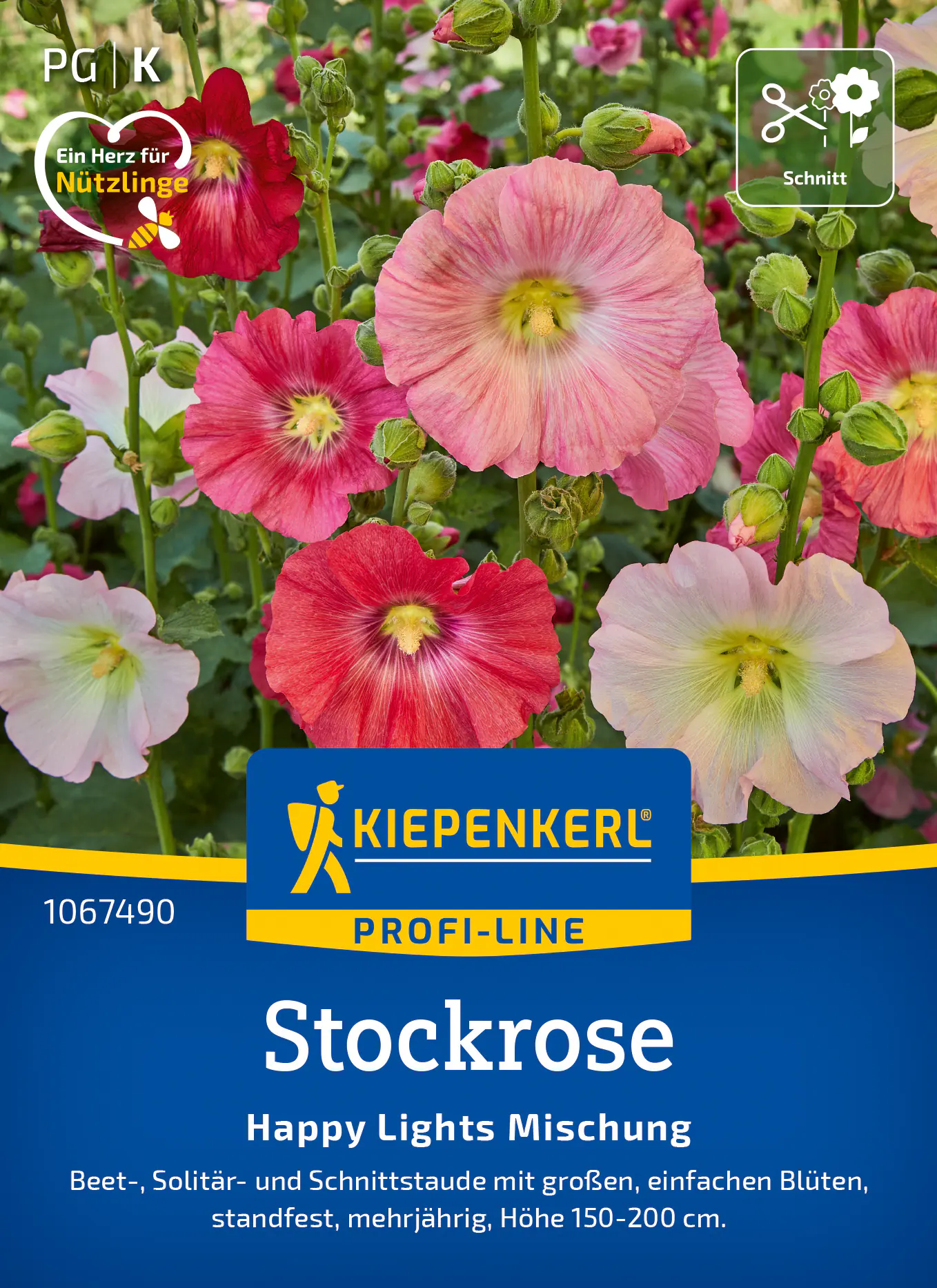 Kiepenkerl Profi-Line Saatgut Stockrosen Happy Lights Mischung für ca. 20 Pflanzen