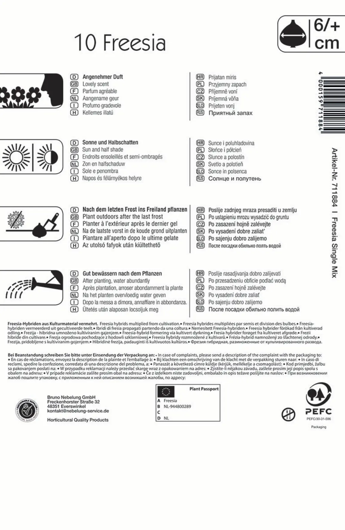 Kiepenkerl Blumenzwiebel Freiland-Freesien einfache Mischung Freesia x Hybrida, Inhalt: 10 Stück